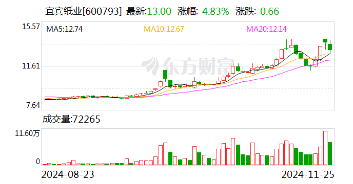 宜宾纸业：子公司拟投建两项目 项目总投资合计5.4亿元